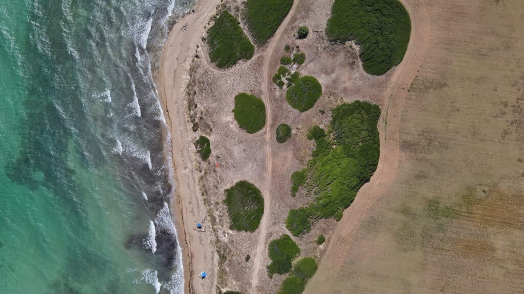 Dji Fly 20230810 100744 132 1691654880011 Photo 01