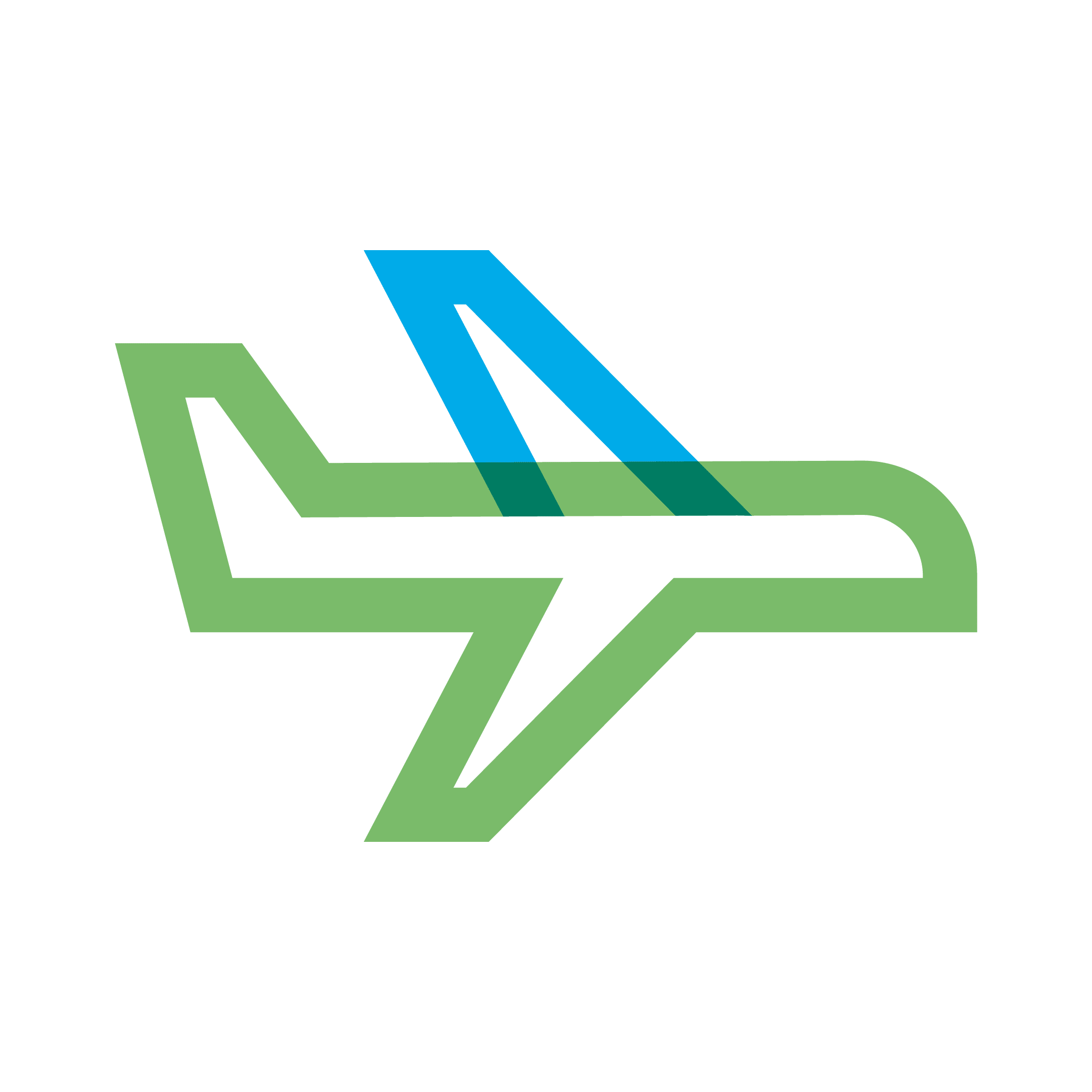 Fasanotourism Aereo