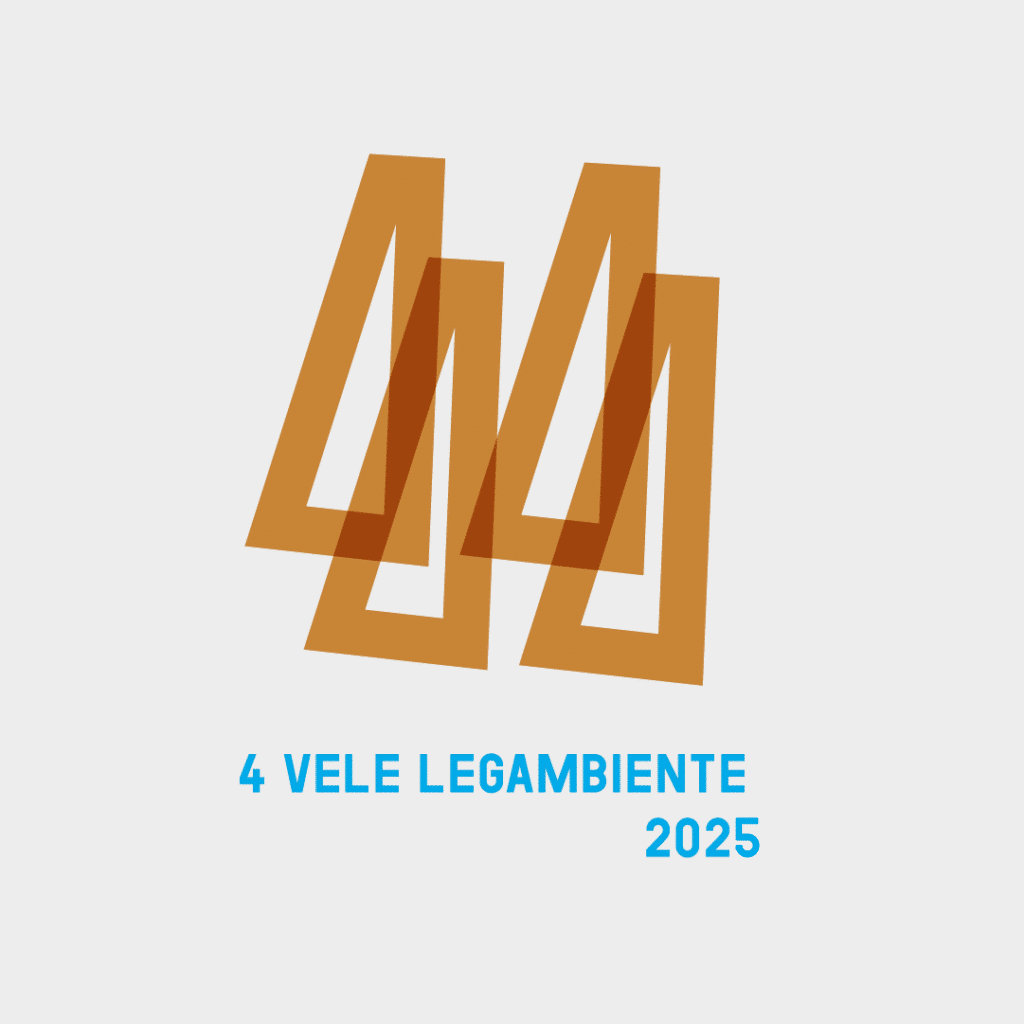 Grey10vele 1024x1024 (1)