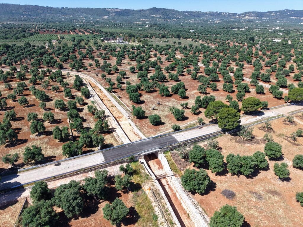 Canalonepezze2